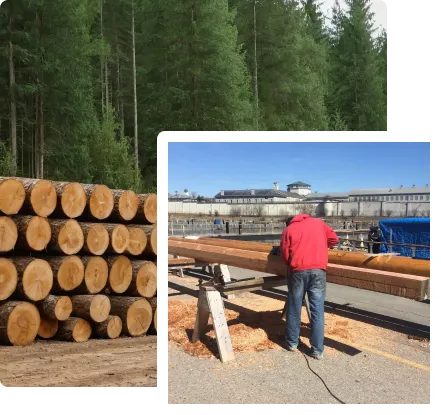 Key Components We Quantify in Lumber Takeoff Services